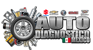 Autodiagnóstico México